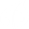 ICEERS Logo