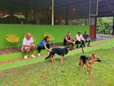 5 people sitting on steps outside a green, wooden building in a tropical environment.  Two German Shepherd dogs are in the grass.