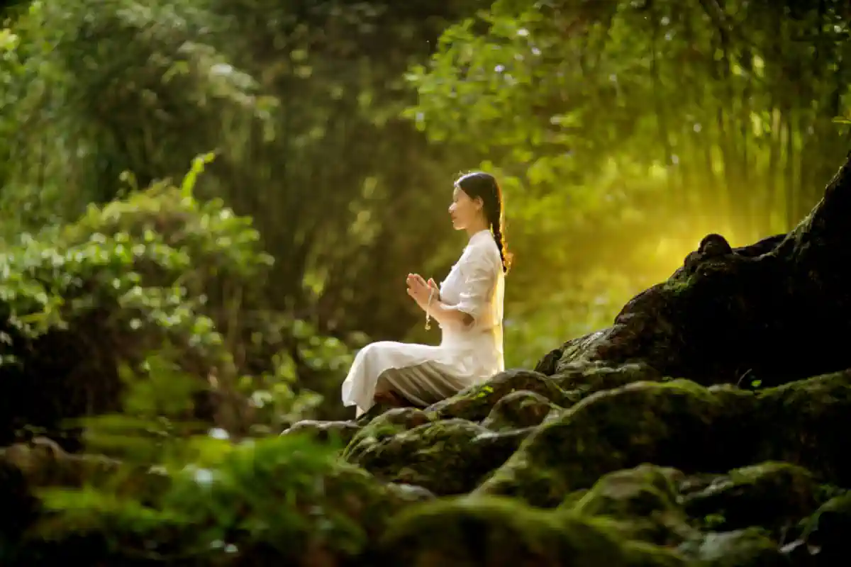 Asian woman meditating in a rich green forest with golden light shining from behind a log