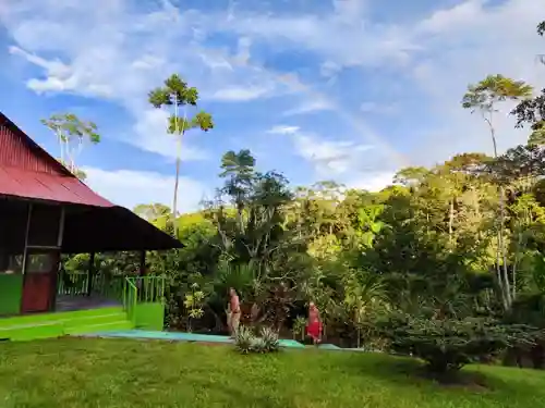 A red-roofed house with green trim next to a lush jungle under a blue sky with a faint rainbow Two people walk on a path.