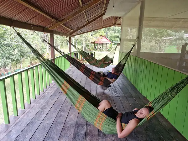 Two guests resting in hammocks strung along a covered porch with green railings.