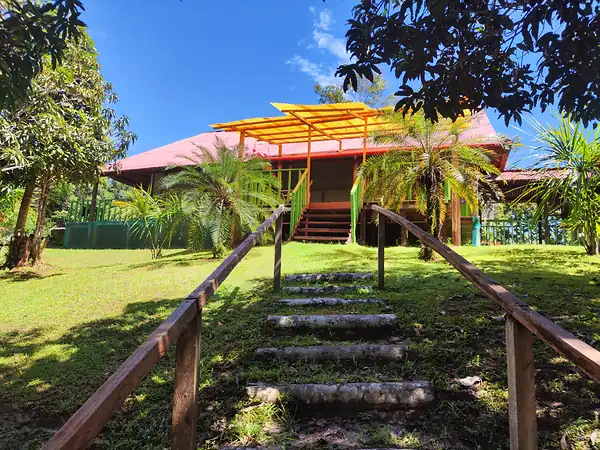A rustic log stairway with wooden handrails leading up the lawn to the hall entrance and its yellow pergola.