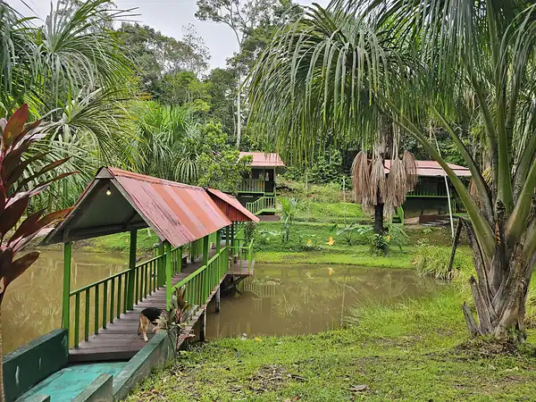 A covered walkway with a red roof crossing the pond toward the cabins, with one of the center's dogs on the boards.