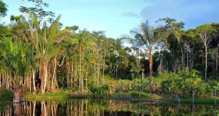 Iquitos Lake