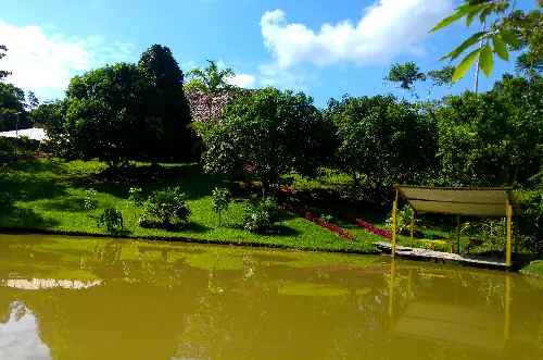 View of ayahuasca retreat center's main lodge across their pond