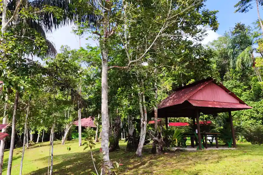 An open-sided red-roofed pavilion with picnic tables sits among tall trees and palms on the retreat grounds.