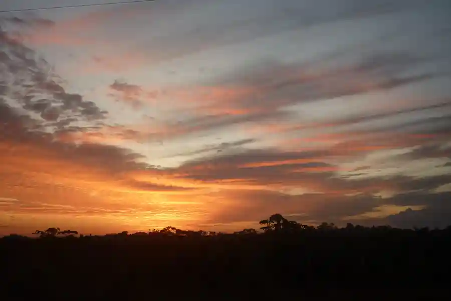 An orange and pink sunset fading into blue-grey cloud over a dark silhouetted treeline.