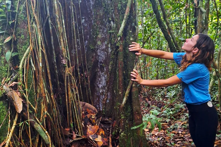young woman with shoulder length dark hair laying her hands on a very large tree and looking up at its canopy