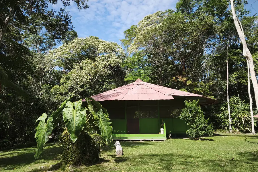 The round ceremony maloca with its red hip roof and green walls, standing on a mown lawn beneath tall jungle canopy and open sky.