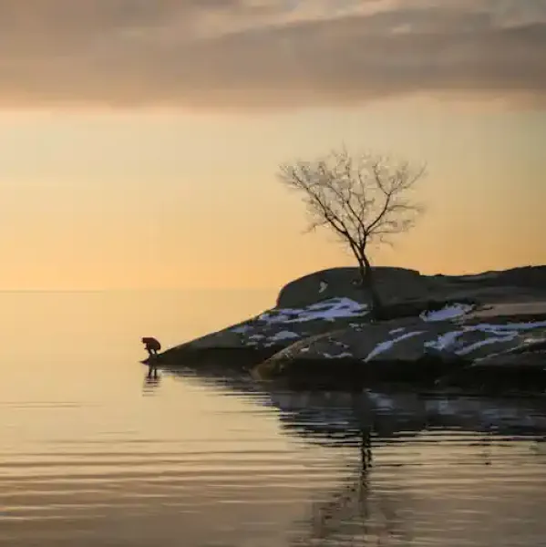 Golden lake with a dark stone shore