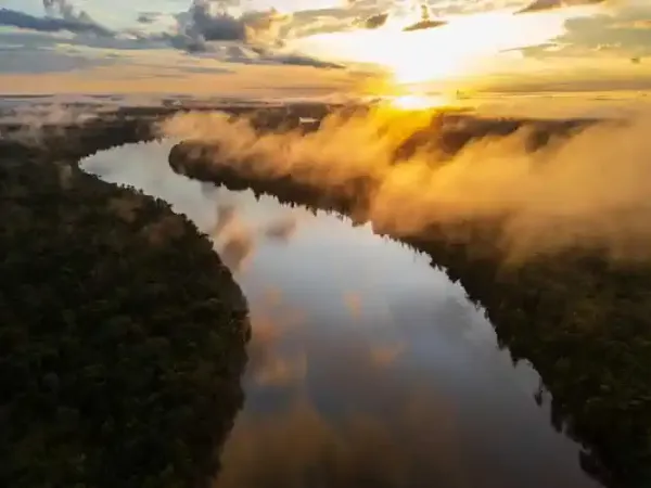 river in the amazon in evening.  golden clouds near sunset